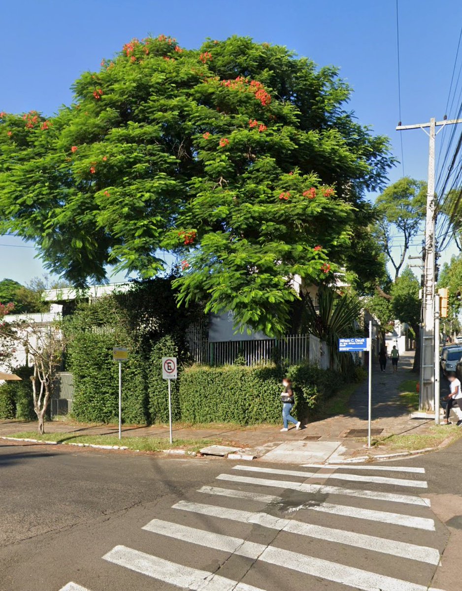 sim, ele mesmo tweet media