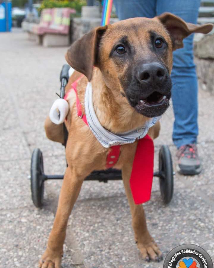 DiscasRodandoxLaVida tweet media