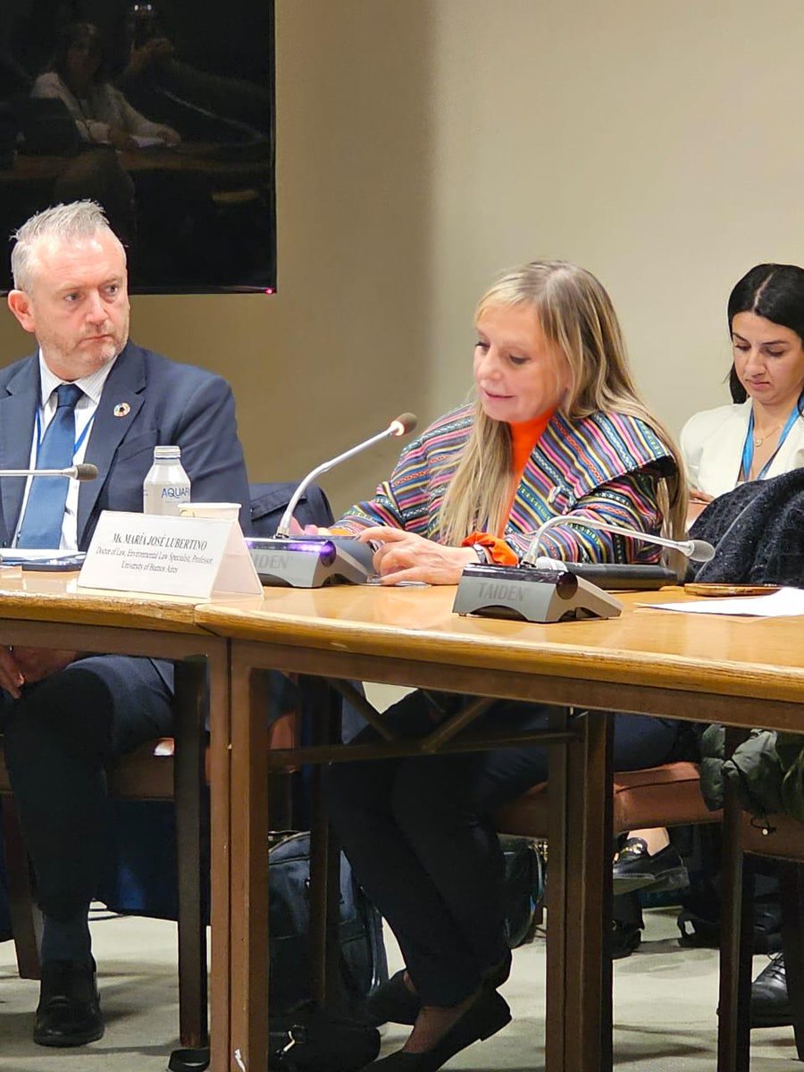 María José Lubertino tweet media