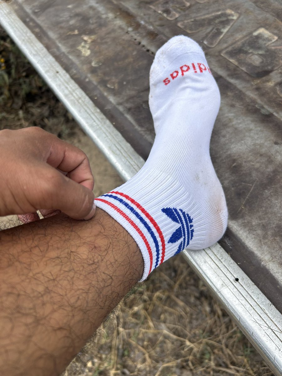 CHARRO AZTECA OFICIAL tweet media