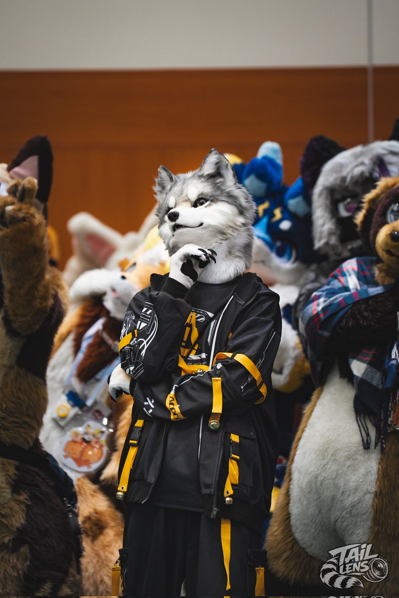 TailLens(テイルレンズ)🦝📸▶未定 tweet media