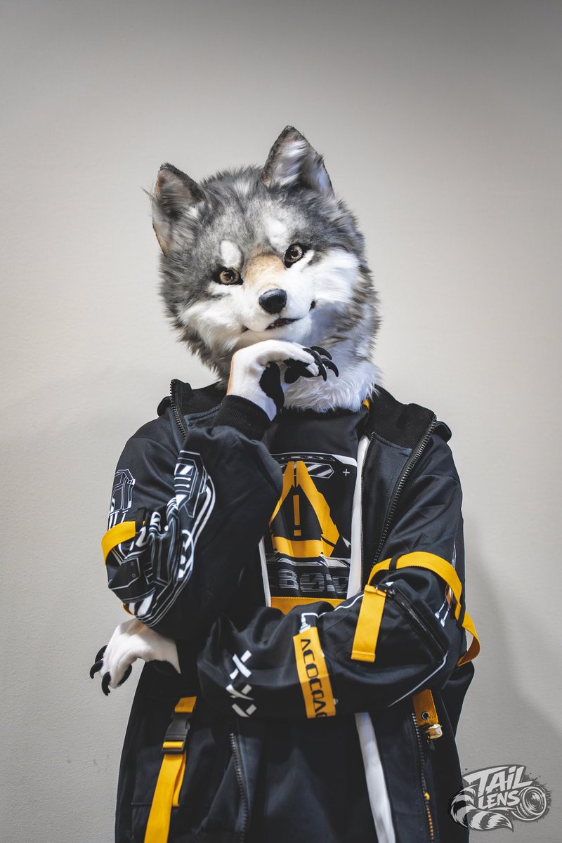 TailLens(テイルレンズ)🦝📸▶未定 tweet media