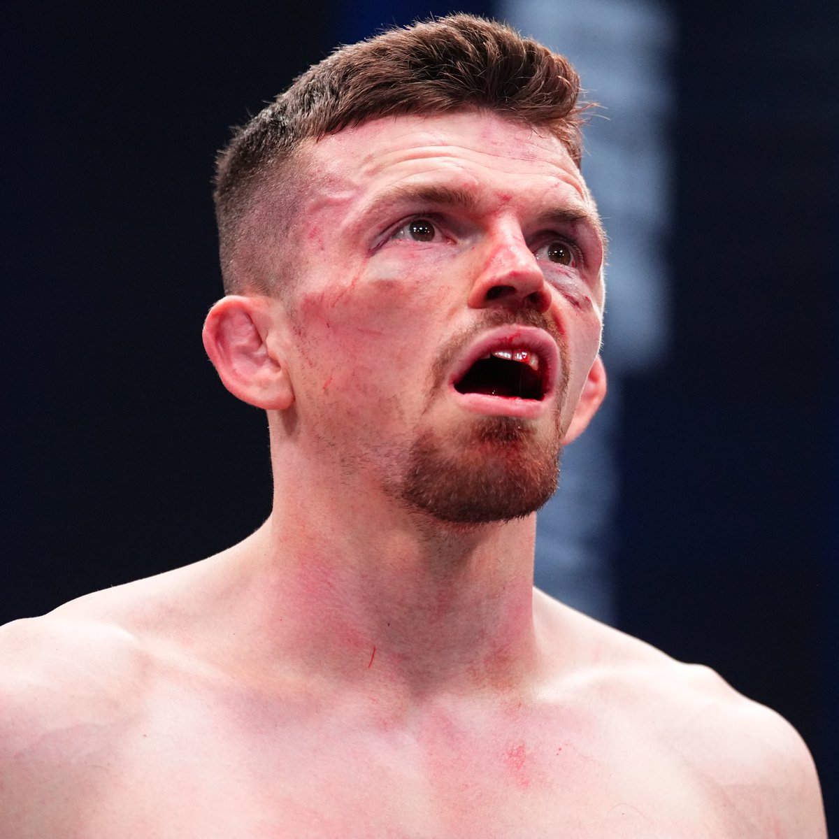 MMA Orbit tweet media