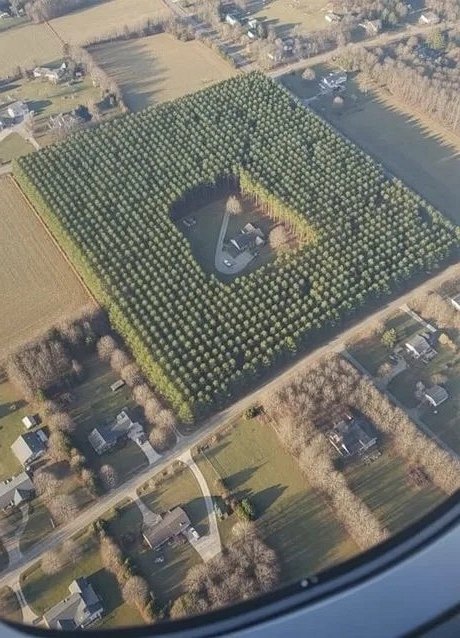 Le Contemplateur tweet media