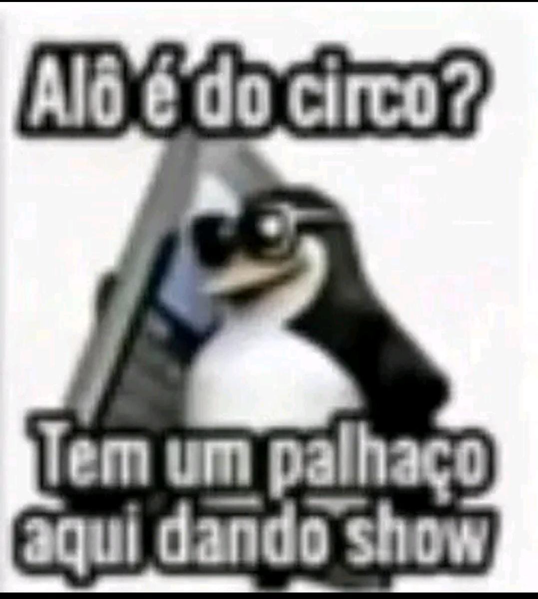 Jubileu dodô 🦤 tweet media