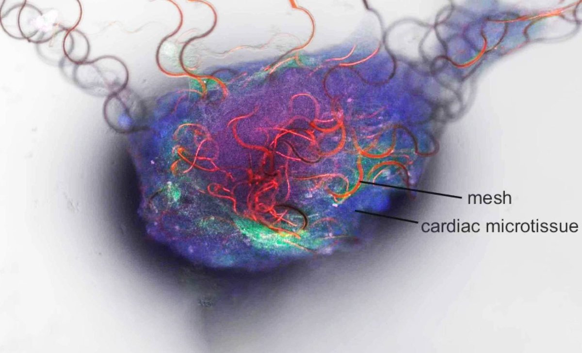 All day Astronomy tweet media