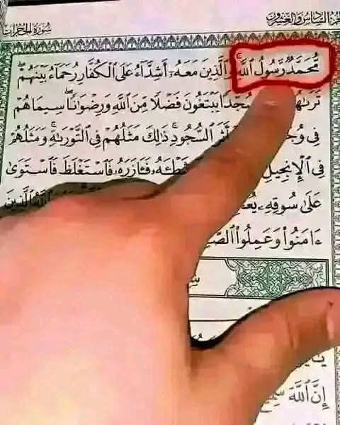 ℝ𝕒𝕓𝕚𝕒 👑 tweet media