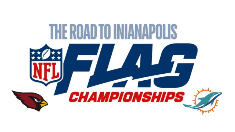 HSFA Flag tweet media