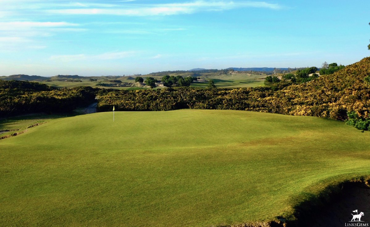 LinksGems tweet media