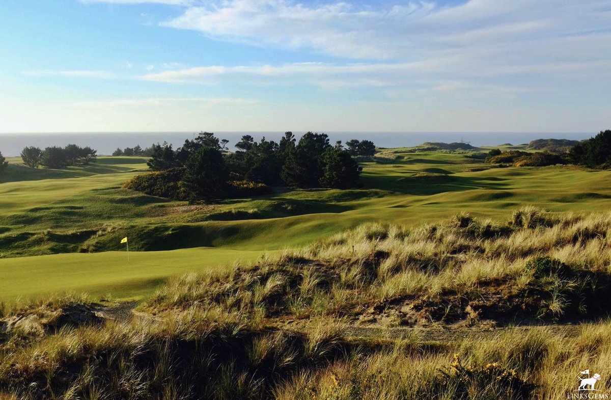 LinksGems tweet media