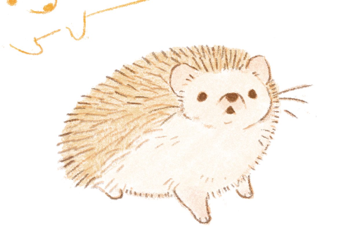 돌돌이 tweet media