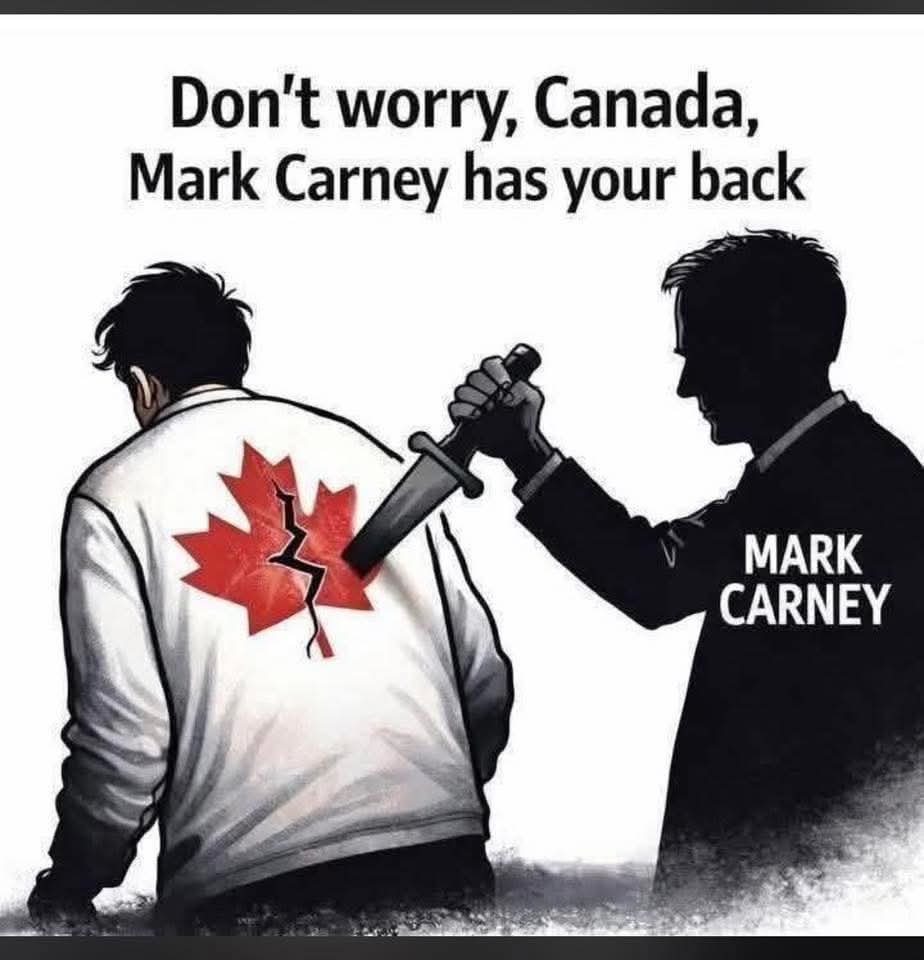 staymatthews's tweet photo. @brucefanjoy https://t.co/ko5MYRyI2m