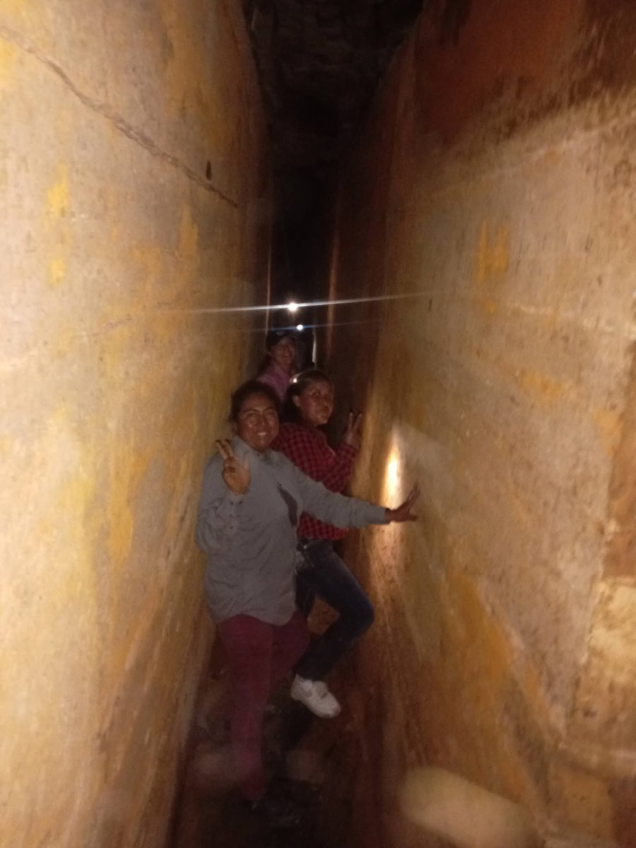 David Ed Castellanos tweet media