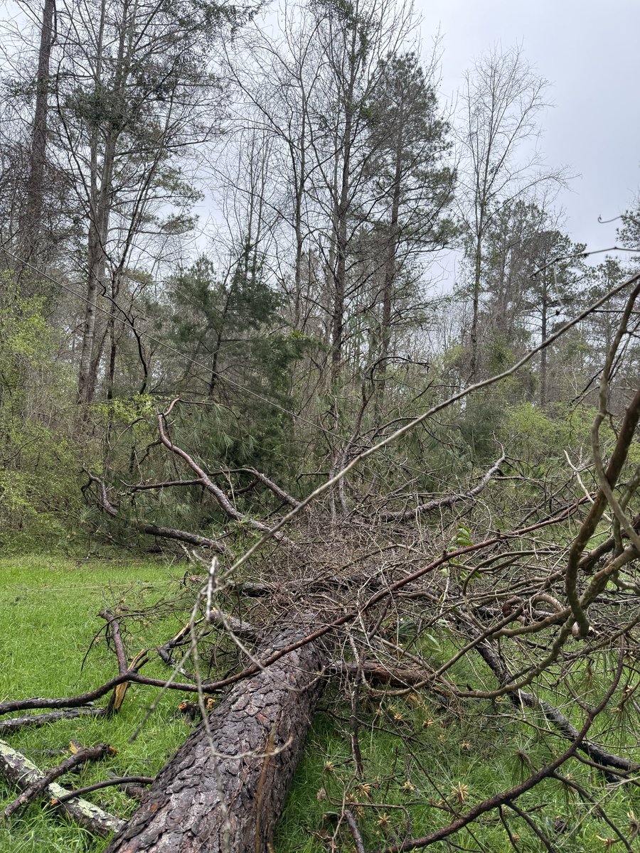 Alabama Power tweet media