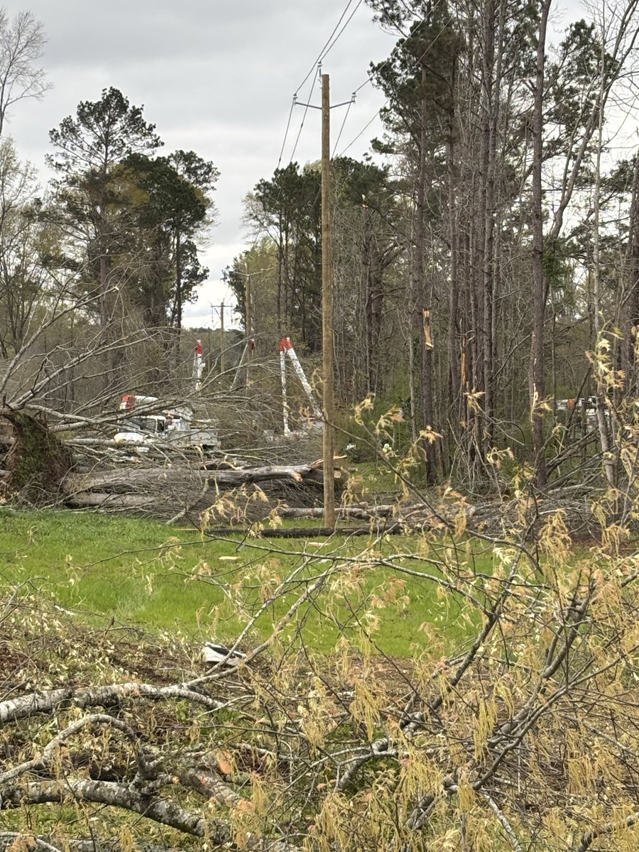 Alabama Power tweet media