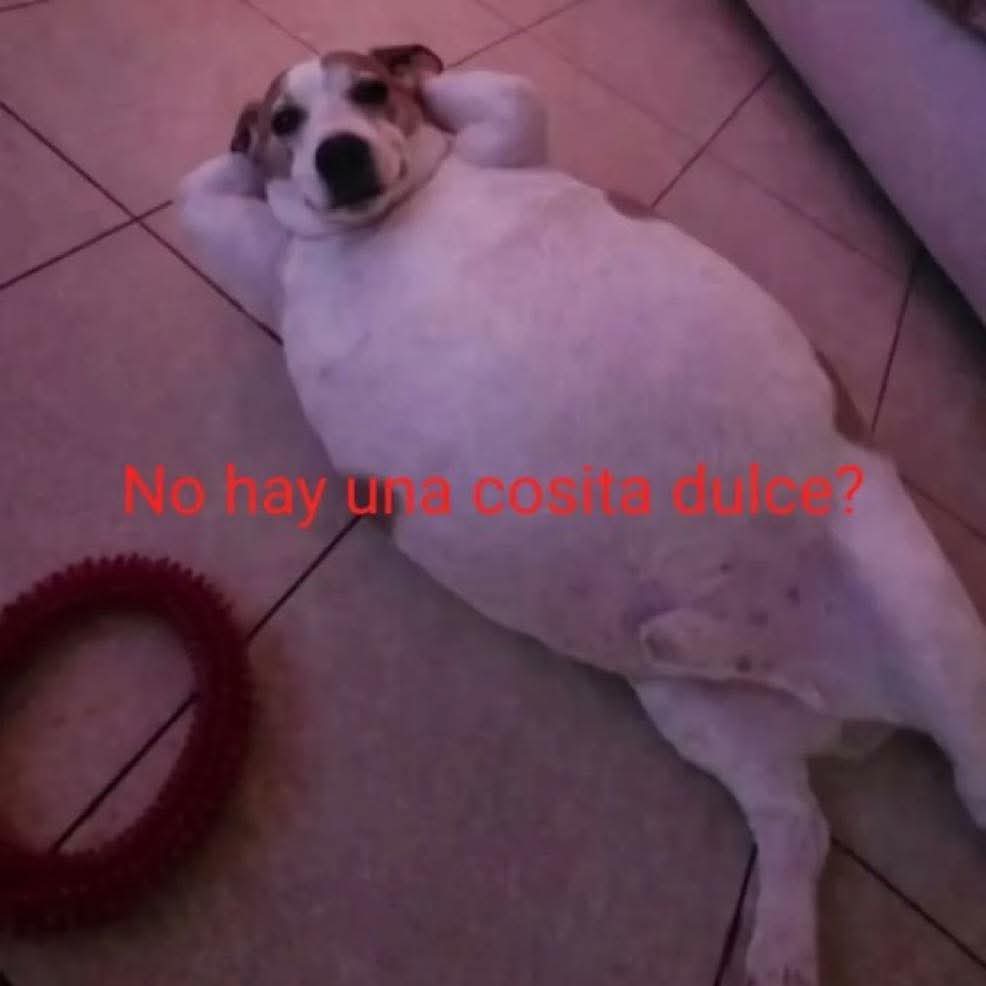 M O T I V A N D O T E (@m0tivand0te) on Twitter photo 