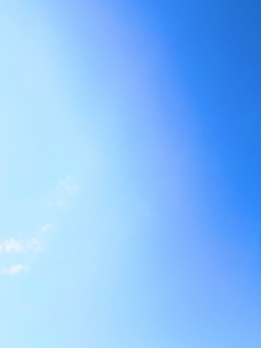 Kimberly Tierney tweet media