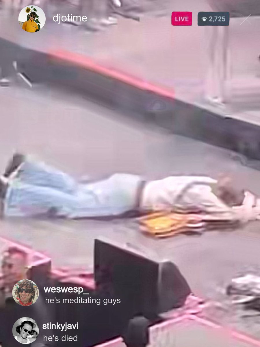 willow 🦦 tweet media