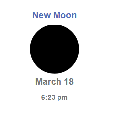 Brainlet tweet media