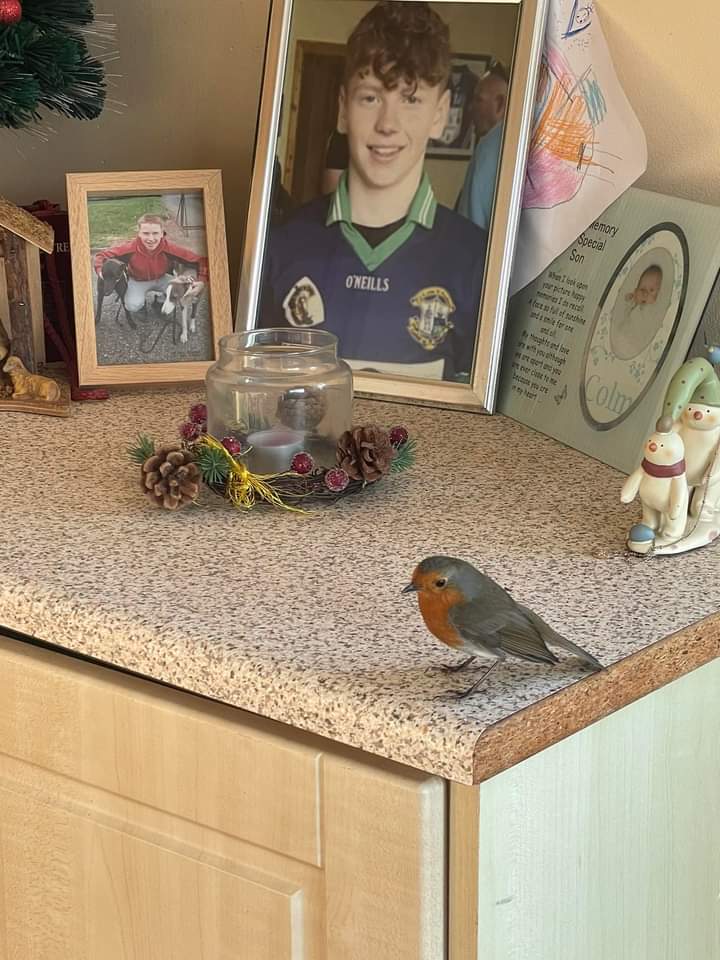 liz Williams tweet media