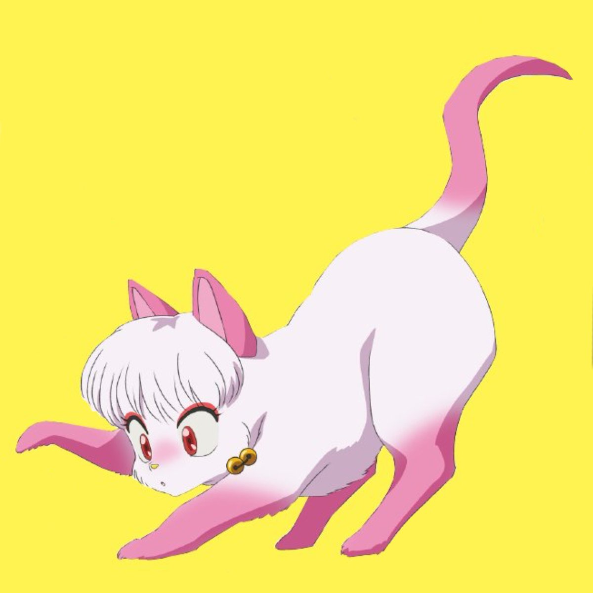 Daily Shampoo 🫧 tweet media