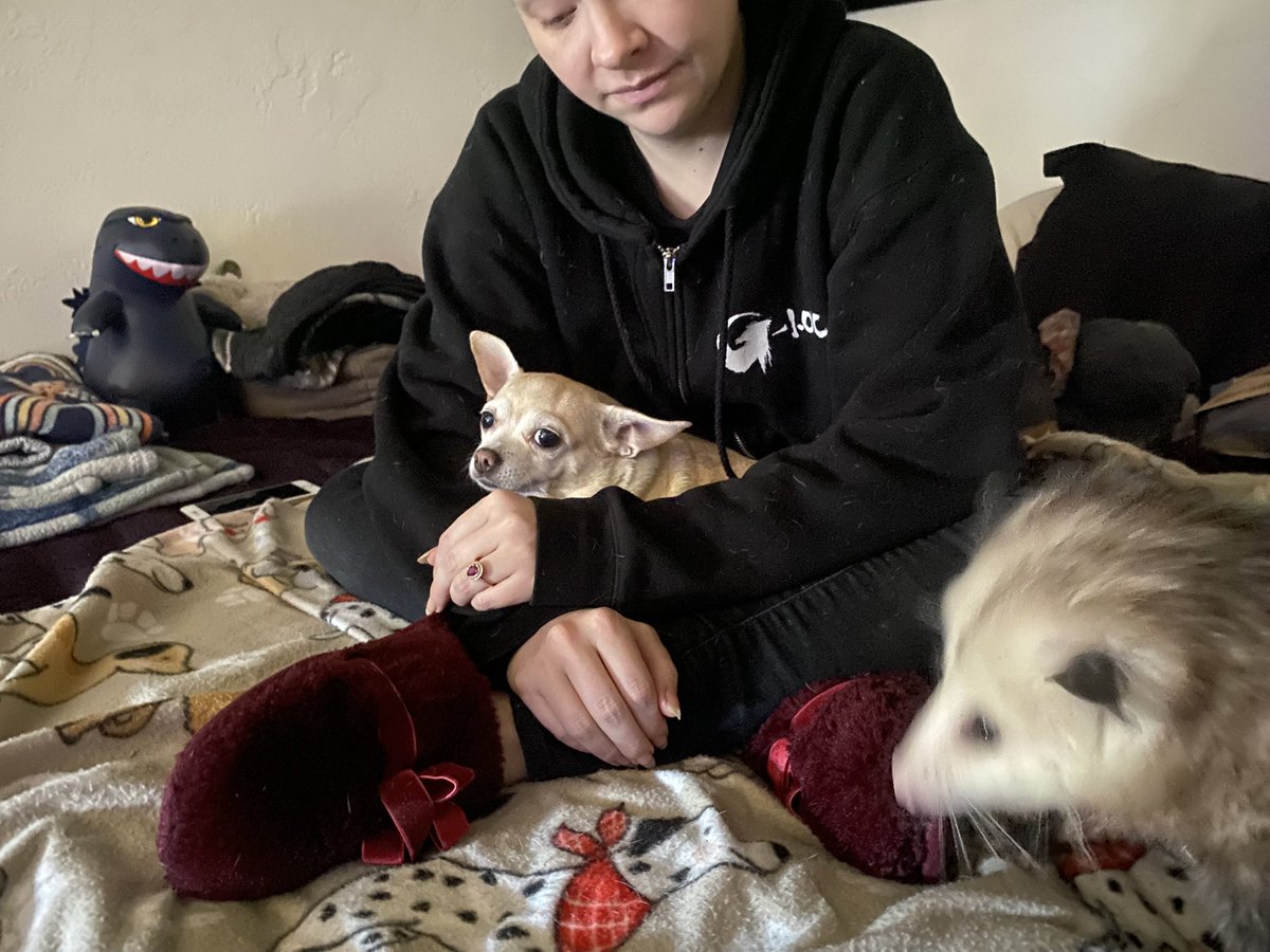 Montgomery Ale tweet media