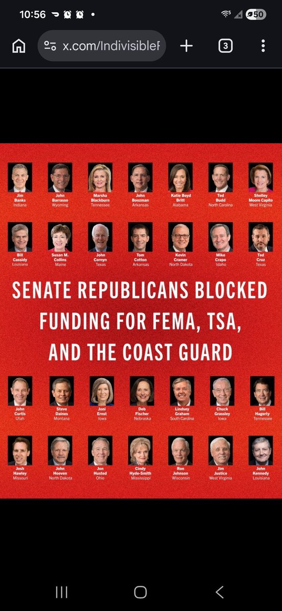 Stephanie Saunders tweet media