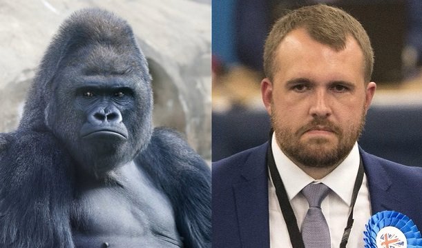 mariner🇬🇧🇪🇺#FBPE tweet media