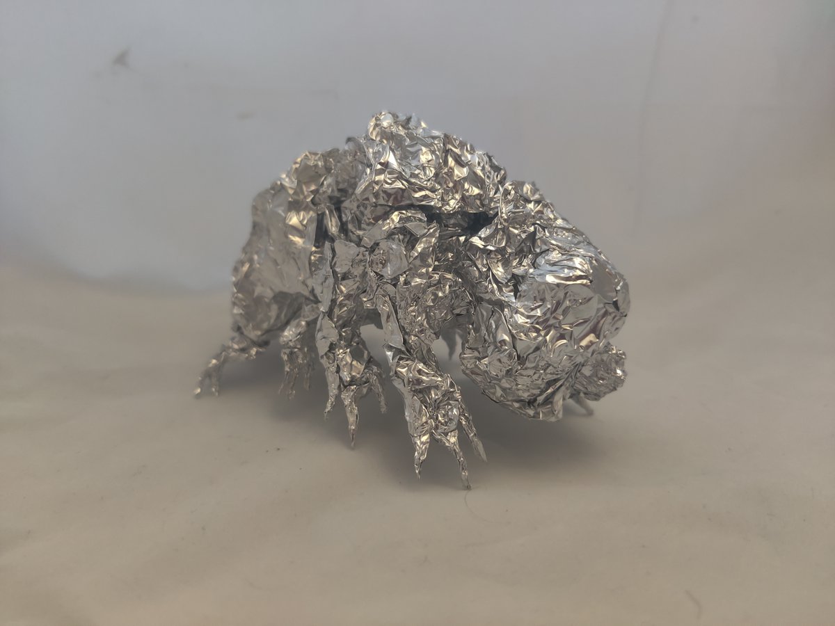 Tardigrade - Aluminum Foil Sculpture
#foil #sculpture #art #fanart #tardigrade #mite #microscopic #smol