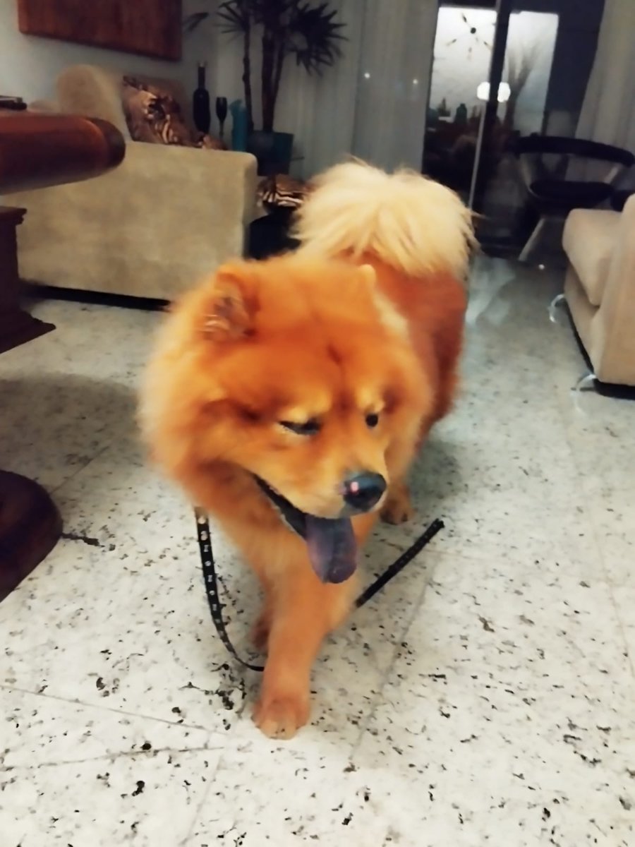 DEUS ME DIBRE tweet media