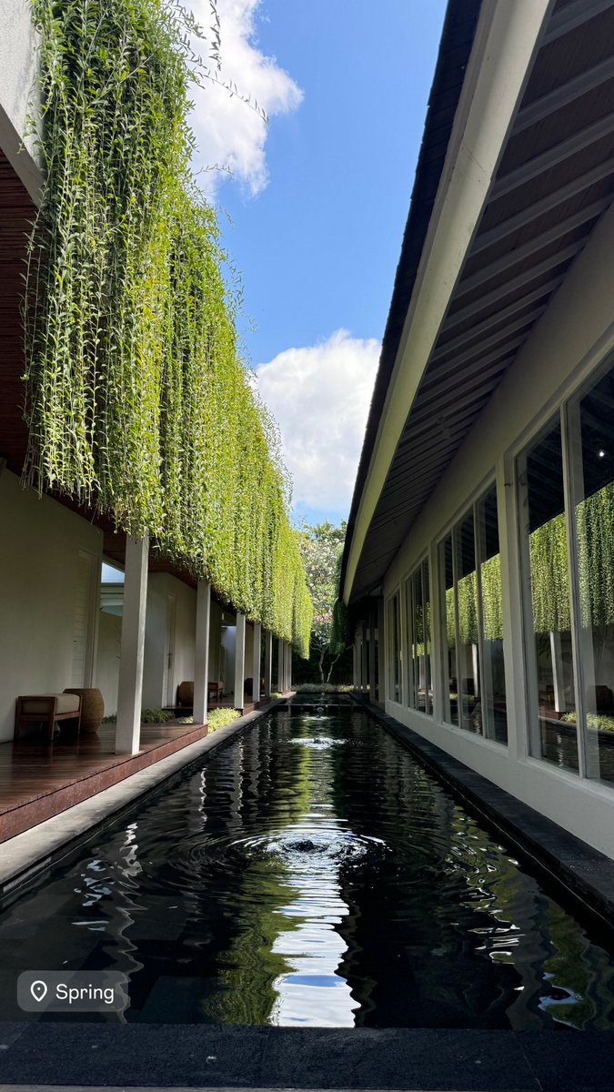 _zma17's tweet photo. @ronin42069 Spend extra time in Bali if you just wanna relaxxx weather so good around end of May/June. Spent a lot of time in Ubud doing wellness shit with the Mrs and about a week in Canggu. Loads of great food about - make sure you try go to this specific spa it was 11/10. Called Spring https://t.co/FCZcA2IDWt