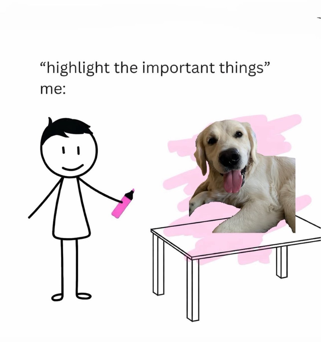 Puppies 🐶 (@puppiesiover) on Twitter photo 