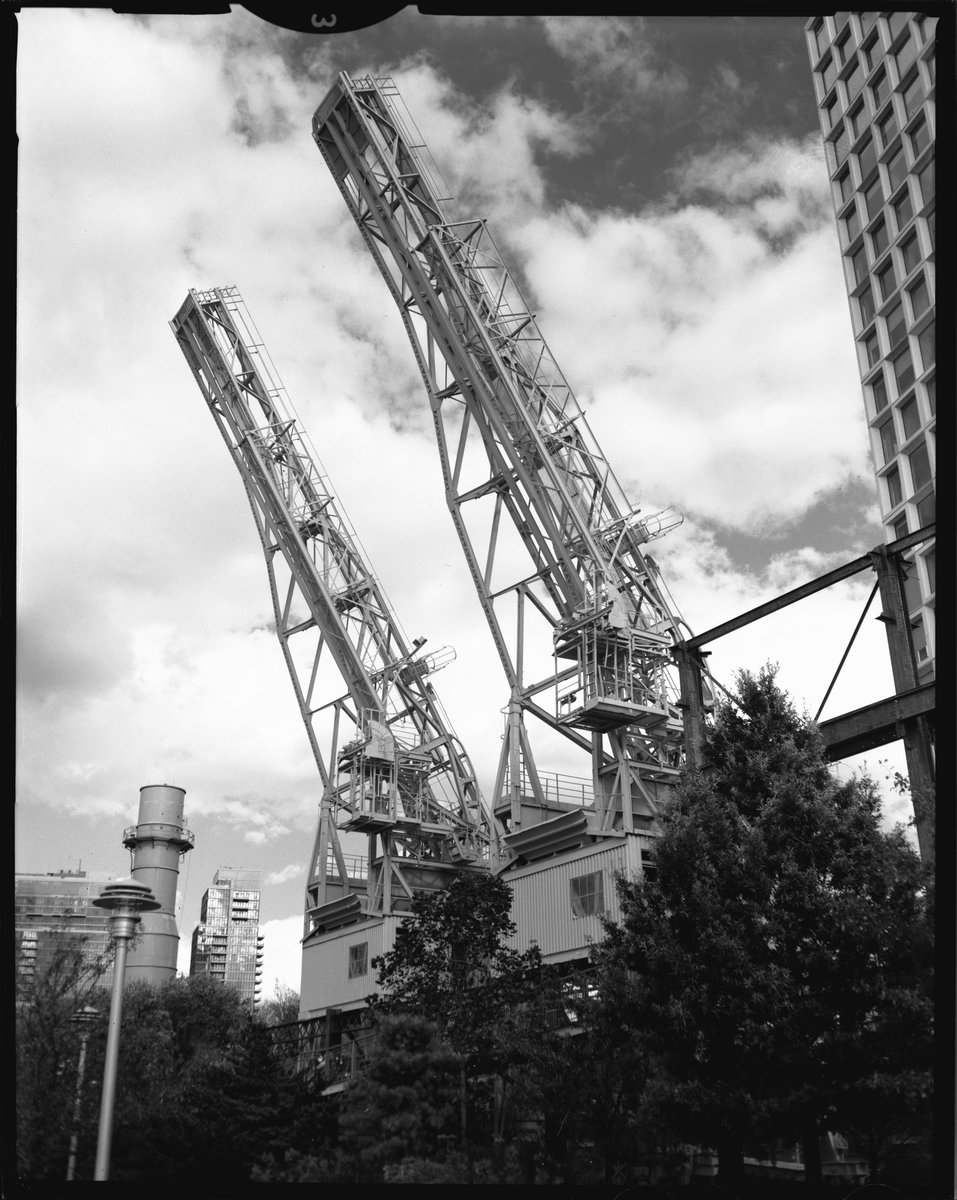 Cyan, like the color tweet media