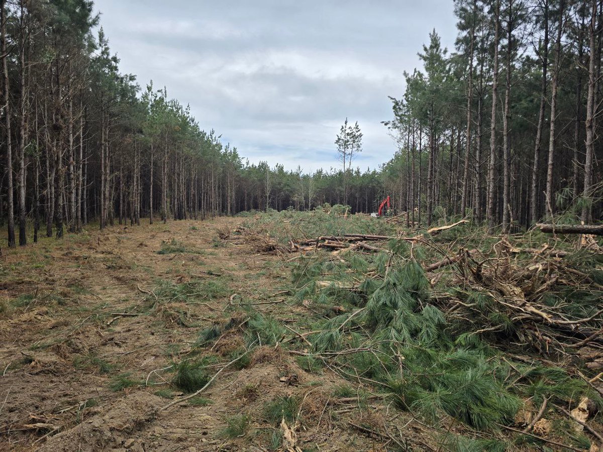 austin.xrd tweet media