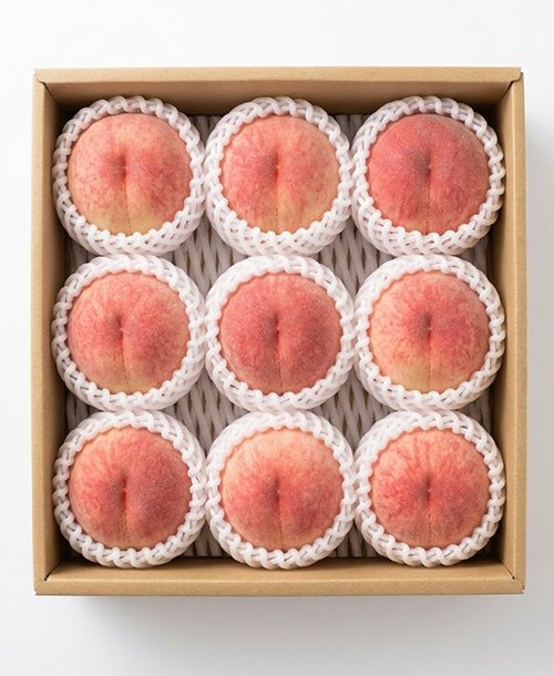 朝採れダッシュ 🚚 畑から即日発送 tweet media