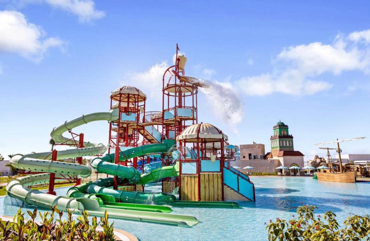 فواز الشلاحي tweet media