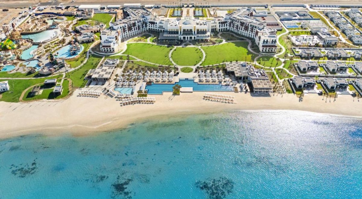 فواز الشلاحي tweet media