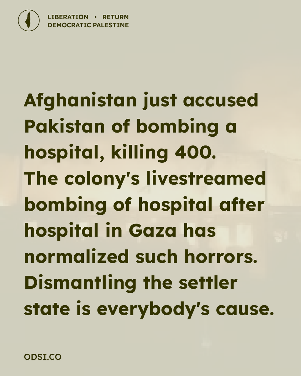 One Democratic State Initiative tweet media