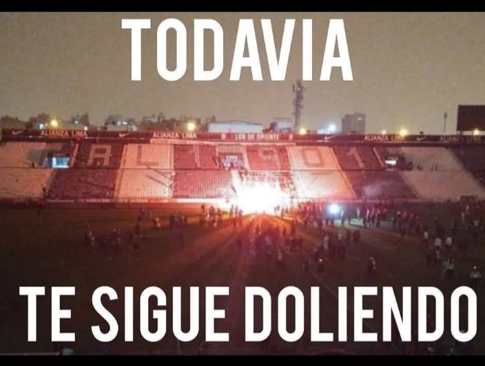 michael 29 tweet media