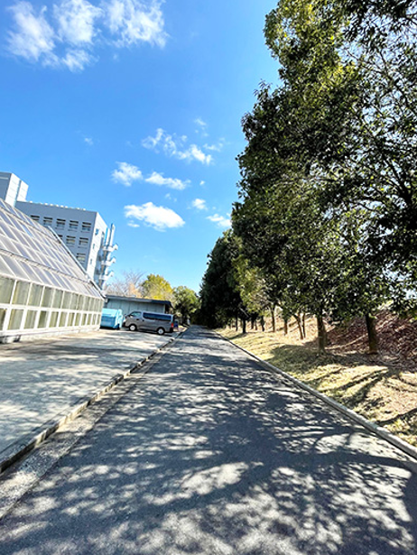 NAISTバイオサイエンス領域 tweet media