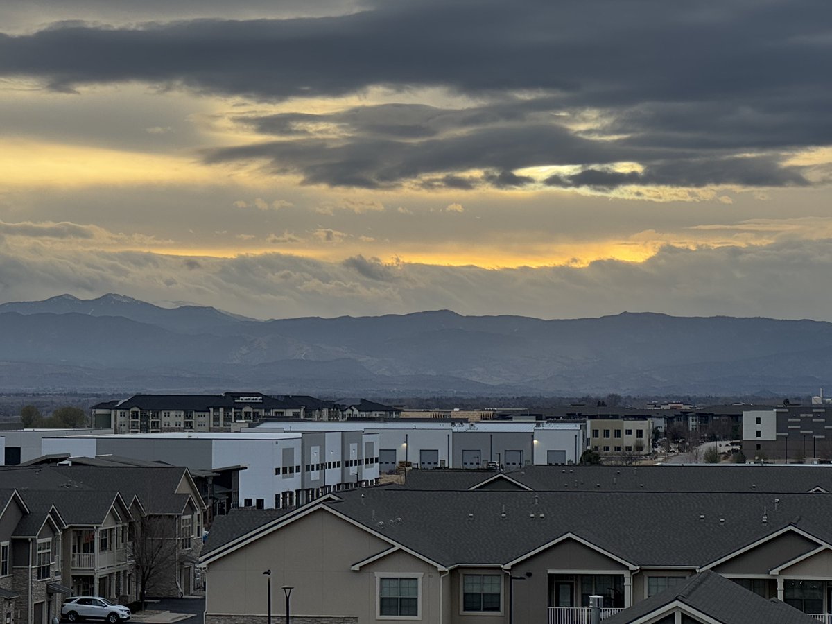 brian herring tweet media