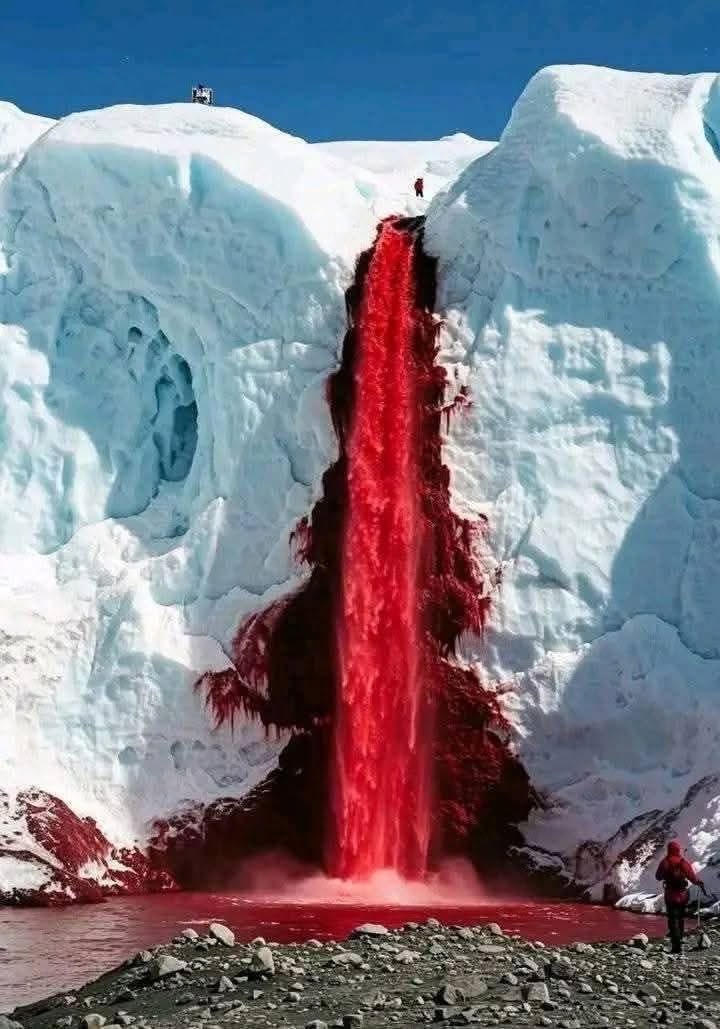 RealSUNofGOD's tweet image. I break chains that pride could not loosen.
#MessianicAge #MessianicEra #RealSUNofGOD