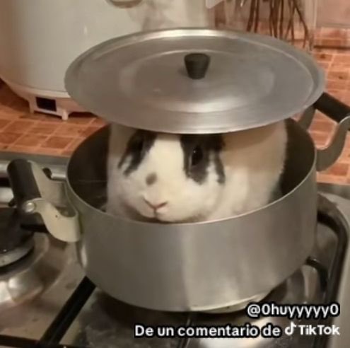 🔞🎄~OscarPro53~🎄🔞 tweet media