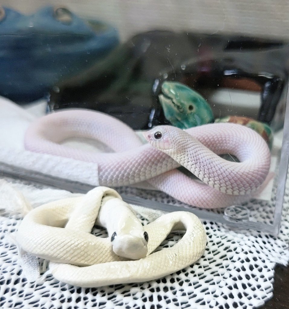 きれいだね✨