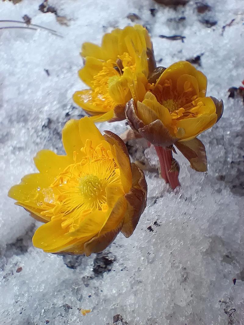 yitong(互fo) tweet media