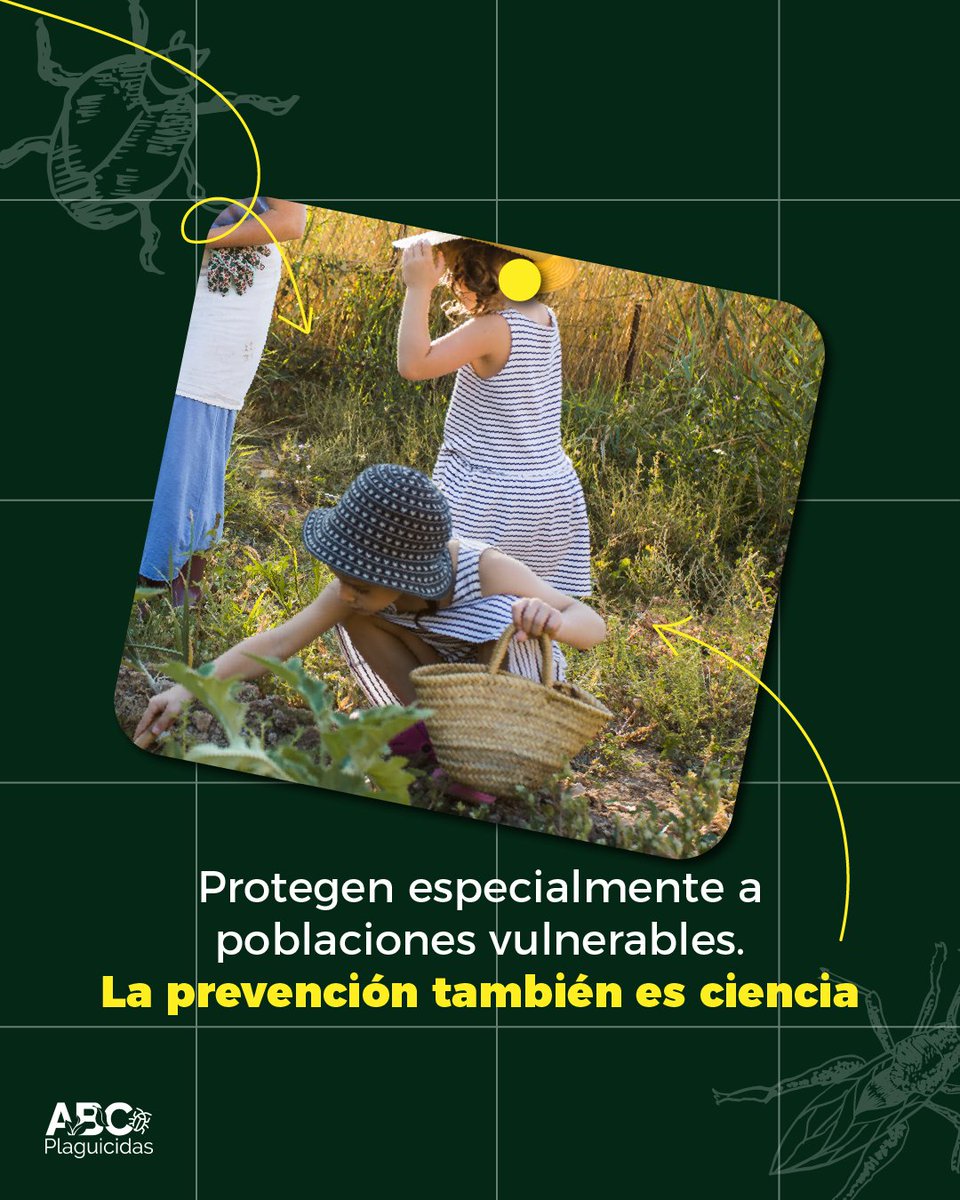 CropLife_La's tweet photo. La malaria sigue siendo un desafío de salud pública. Los mosquiteros con insecticidas representan una medida efectiva y de bajo costo para frenar el contagio y salvar vidas. 🦟🛡️
Lee el artículo completo: https://t.co/yvlXbnxyKs https://t.co/eIu0TRpnuK