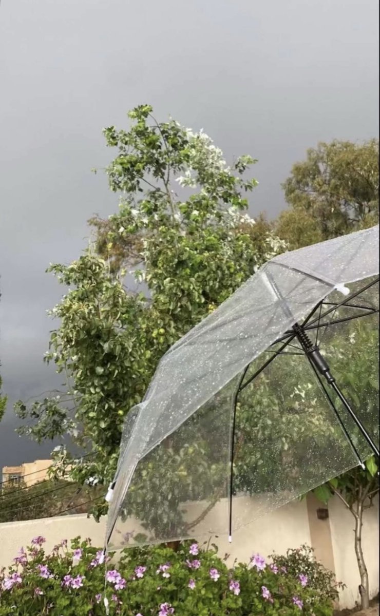 ج͠و͠اهر💎 tweet media