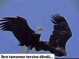 ( ° ͜ʖ͡ °) tweet media