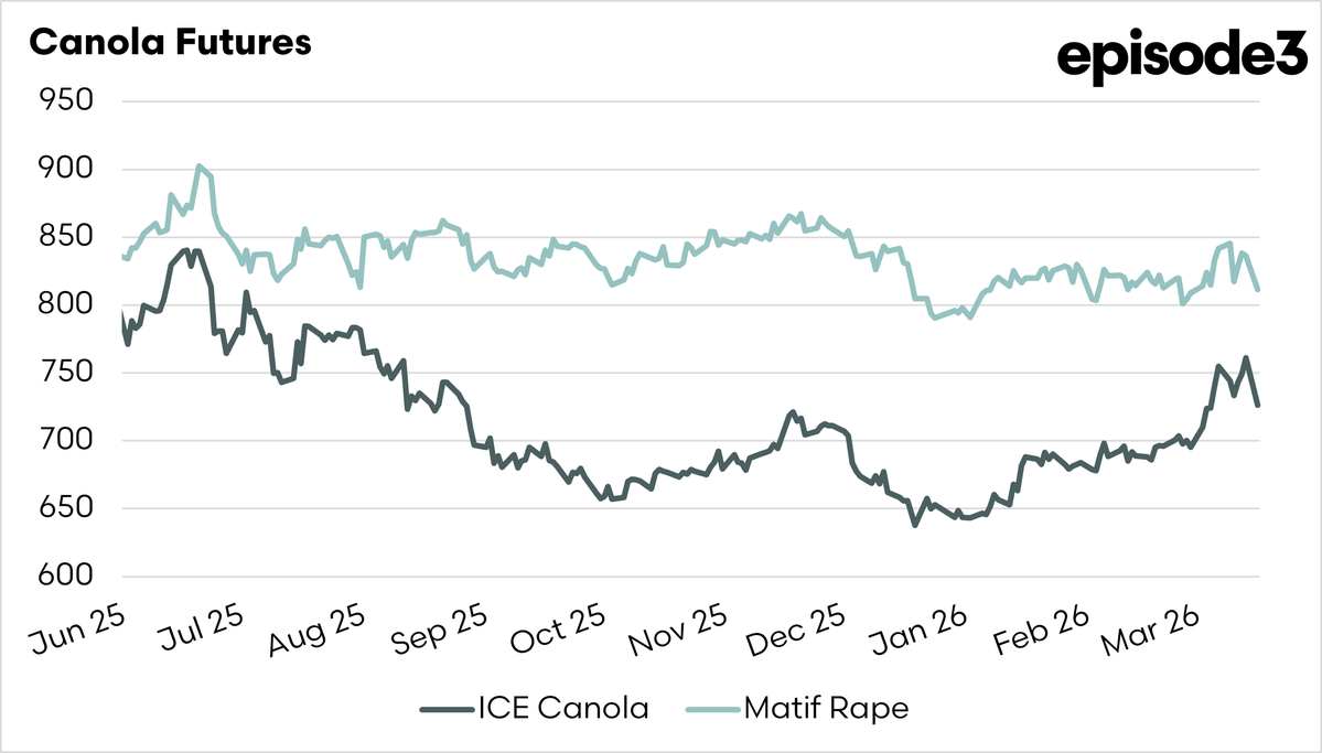 Episode 3 (EP3) tweet media