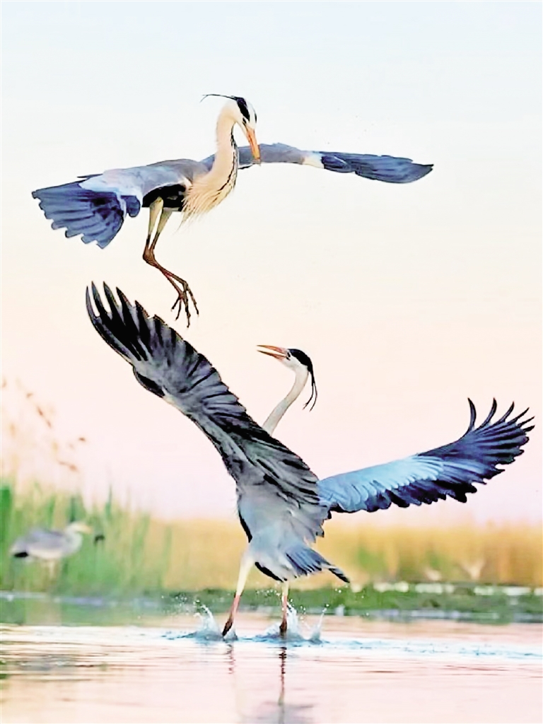 yitong(互fo) tweet media